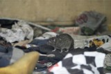 Plaga szczurów w Toruniu: "Skoczył na mnie w piwnicy!" alarmują mieszkańcy