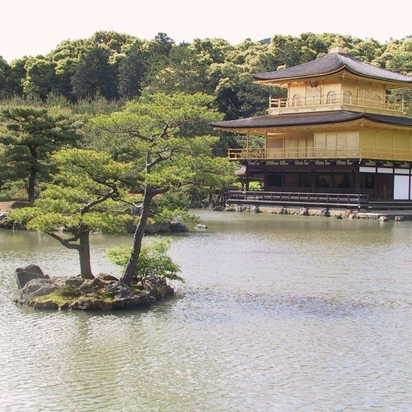 Słynna złota świątynia Kinkakuji w Kioto. Oryginał spłonął w latach 50. podpalony przez szalonego mnicha. Teraz można oglądać tylko replikę.