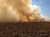Pożar w okolicy rezerwatu Borowiec na pograniczu gmin Chotcza i Przyłęk. Płonęły też nieużytki. Zobaczcie zdjęcia