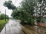 W Katowicach zablokowana ul. Sosnowiecka. Na torowisku tramwajowym zerwała się sieć trakcyjna