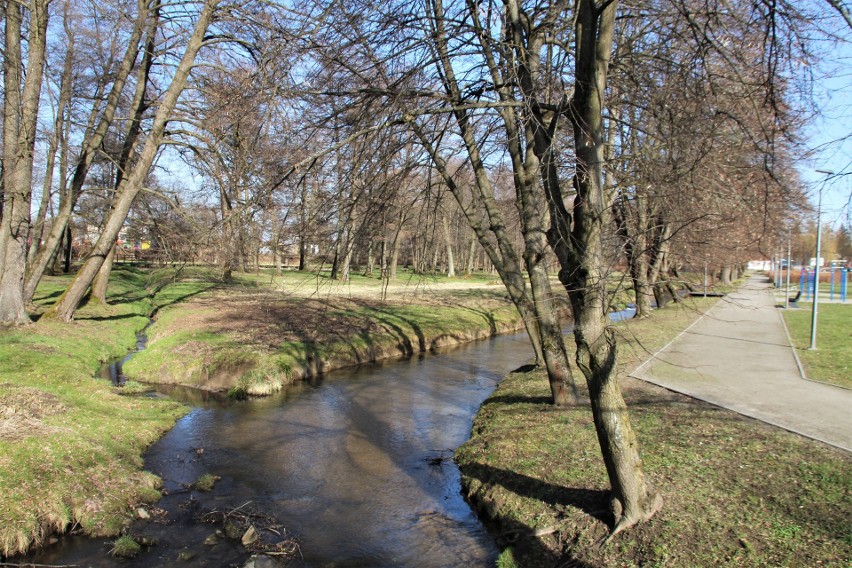 Od wiosny nie ma odwrotu. W Horyńcu Zdroju widać ją bardzo dobrze