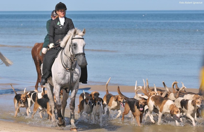 "Usedom Cross Country" na plaży w Ahlbecku [ZDJĘCIA]