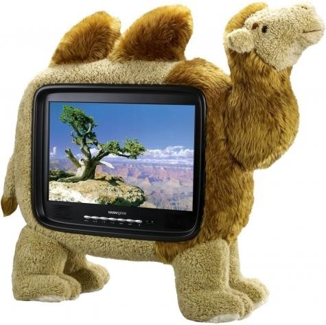 Telewizor Wielbłąd...