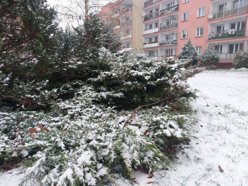 W regionie koszalińskim ponownie zrobiło się biało.