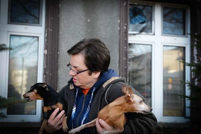 Renata Czarnowska z psami i spalonym oknemsylwester