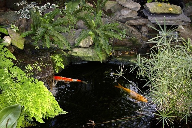 Oczko wodneWoda w ogrodzie dodaje mu uroku, ale bez przestrzegania przepisów może stać się źródłem kłopotów.