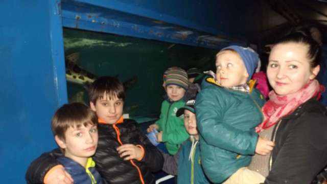 Akwarium z czterema rekinami przyciągnęły wielu najmłodszych mieszkańców Starachowic.