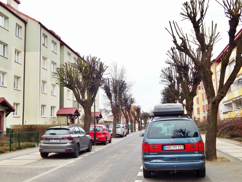 Ekstremalna przycinka drzew na ulicy Sprzymierzeńców w Ustce