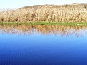 Budowa sztucznego jeziora w Kluczborku ruszy jesienią. Wykona ją firma Skanska. (fot. sxc)