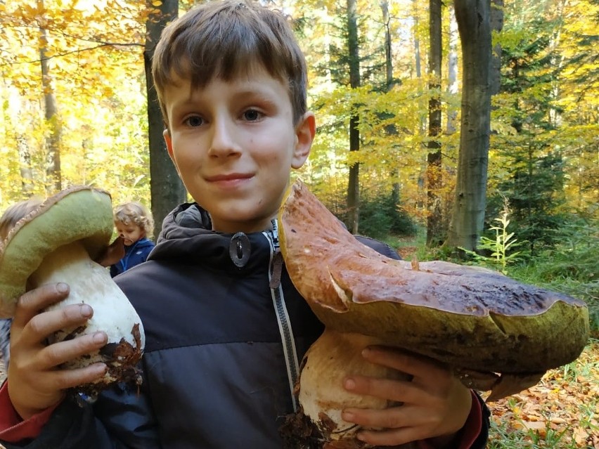 Rodzinny wypad na grzyby w okolice Komańczy. Tymek z Rzeszowa znalazł giganta! [ZDJĘCIA]