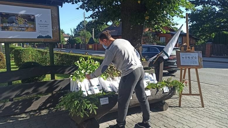 W nadleśnictwach całego regionu radomskiego odbyła się akcja...