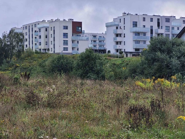 Słupsk wygrał z deweloperem. Spór o wąwóz na osiedlu Westerplatte