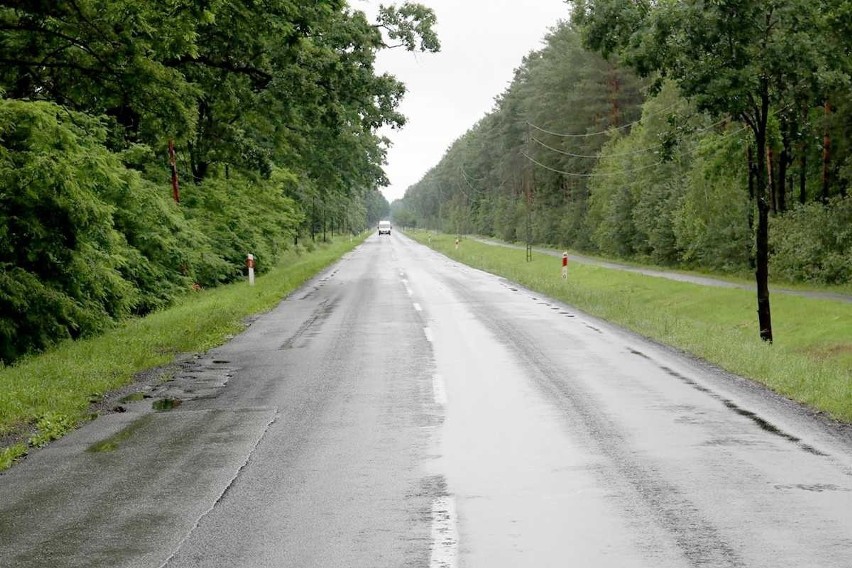 Droga od Dobrzenia Wielkiego w stronę Kup będzie...