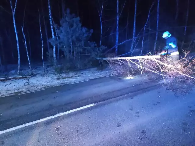 Strażacy z Wysokina w gminie Odrzywół usuwali pochylone drzewa nad drogą.