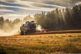 W tych kujawsko-pomorskich powiatach państwową ziemię będzie można wydzierżawić 