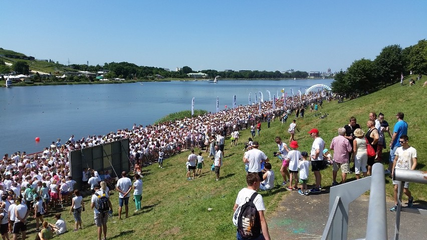 Color Run 2016: Zobacz najlepsze zdjęcia