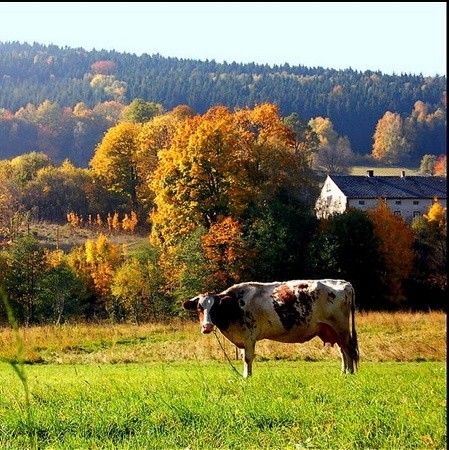 Ciepło i spokojnie - Jesień 2008