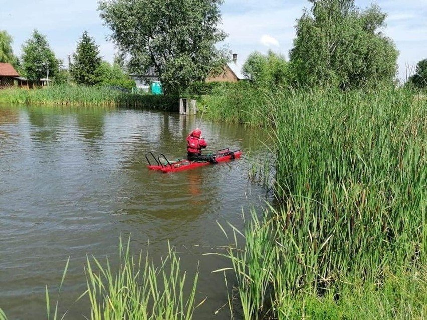 W miejscowości Pełnatycze strażacy ratowali łabędzia, który połknął haczyk wędkarski wraz z żyłką [ZDJĘCIA]