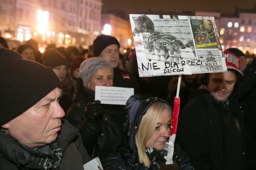 Dziki protest w obronie dzików w Krakowie. "Dzik czuje, tak...