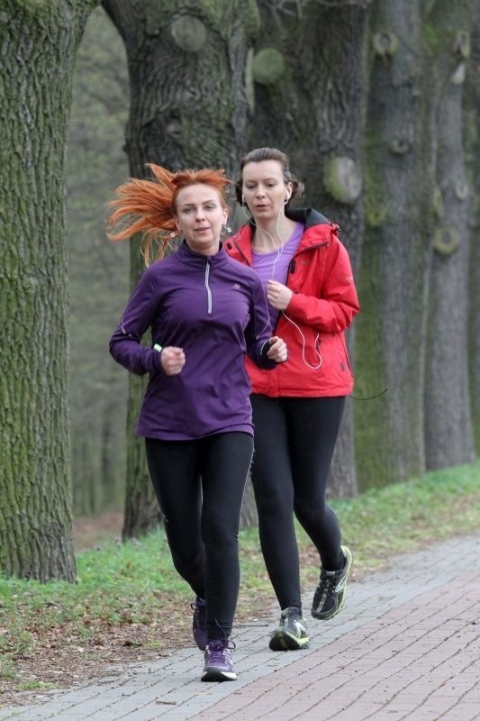 Wrocław: I Ty możesz zostać maratończykiem. Pierwszy trening przy Stadionie Olimpijskim (ZDJĘCIA)