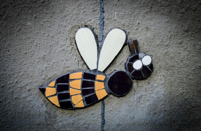 Miś i pszczoły - wyjątkowa mozaika w Bytomiu. Jej wzór nie jest przypadkowy!