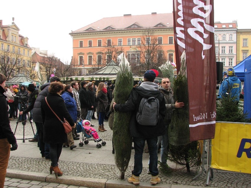 Wrocław, darmowe choinki na placu Solnym