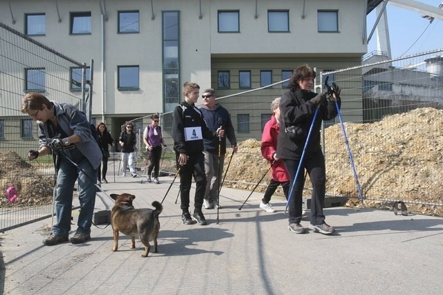 Gra miejska nordic walking w Chorzowie