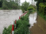 Alarm powodziowy w Krośnie. Wylał Wisłok [WIDEO]