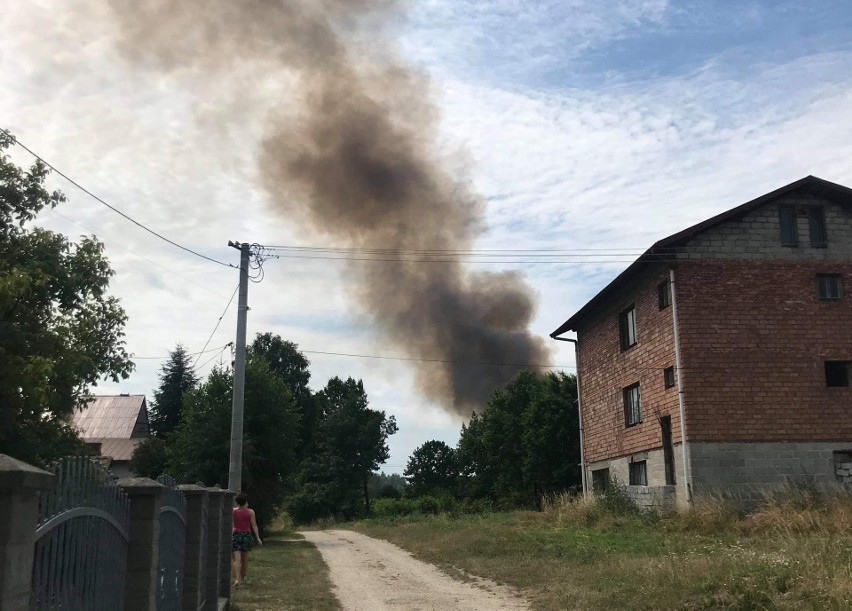 Koszyce Wielkie. Wielki pożar zboża na polu. Z dymem poszedł ponad hektar pszenżyta