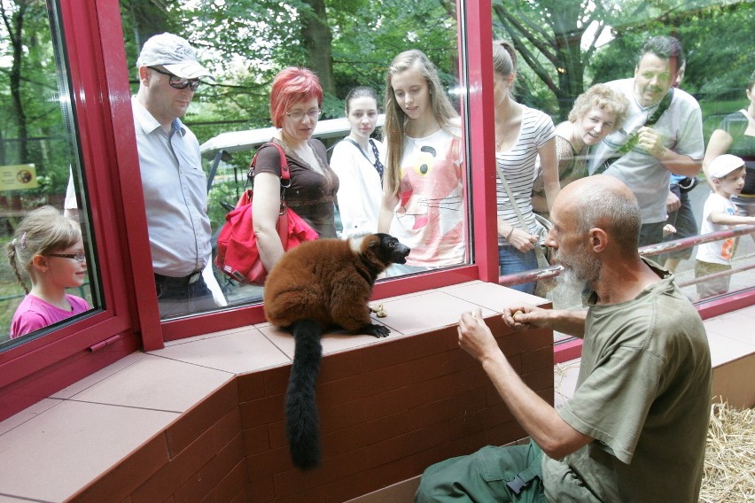 Śląski Ogród Zoologiczny od kuchni