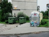 Rewolucja śmieciowa w Pabianicach - opłaty za śmieci dwukrotnie wyższe