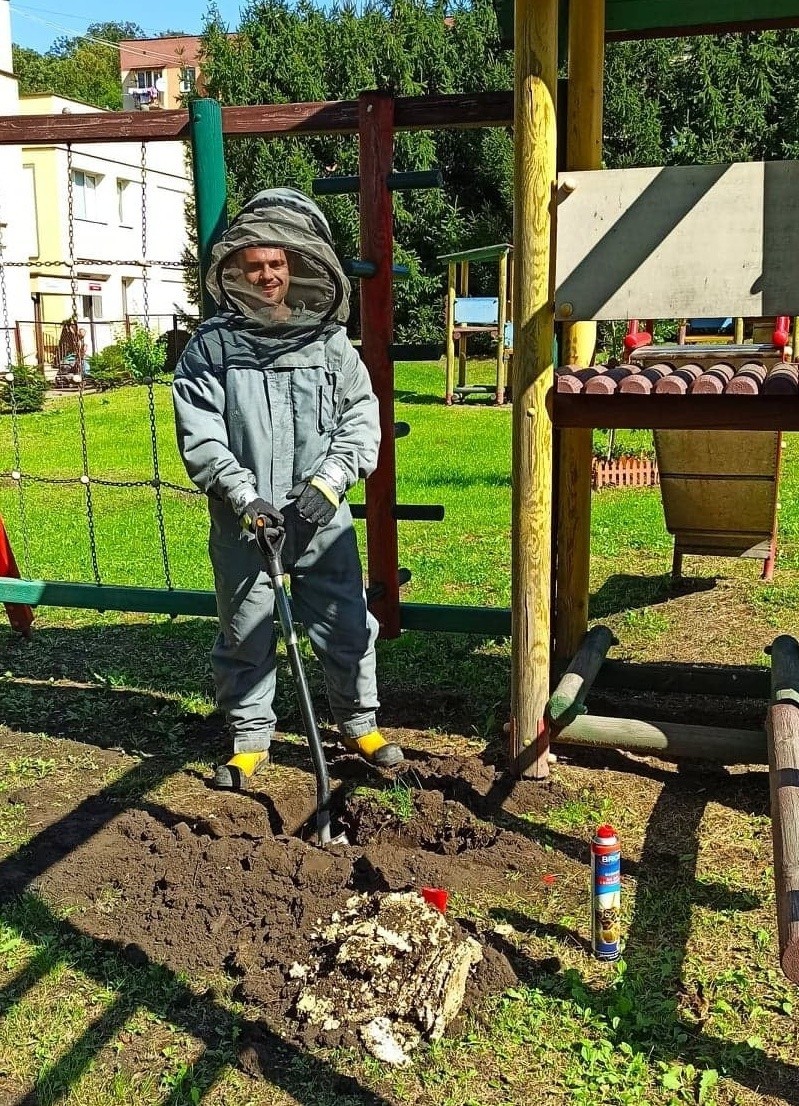 Osy ulokowały sobie gniazdo na placu zabaw przedszkola w Przeworsku. Wezwano strażaków [ZDJĘCIA]