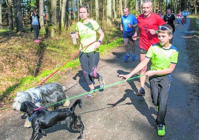 Każdą wakacyjną sobotę możesz rozpocząć aktywnie - o godz. 9 na skraju lasu w Kłosie w gminie Sianów rozlegnie się sygnał startu do biegu na dystansie 5 kilometrów.  Udział w nim jest darmowy.