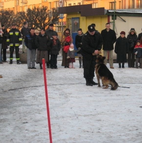Pokaz tresury policyjnego psa odbył się przed Lipskim Centrum Kultury i spotkał się z zainteresowaniem widzów.