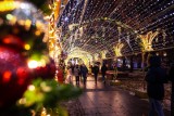 Świąteczne iluminacje 2022: najpiękniej ozdobione miasta w Polsce. Anioły, bombki i renifery cieszą oczy mieszkańców – gdzie je znaleźć?