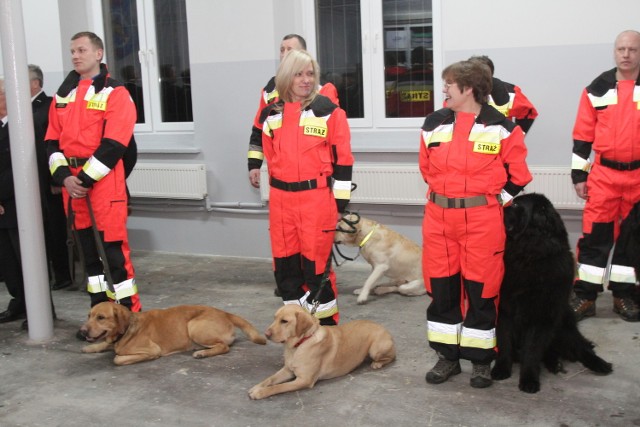 Strażacy z OSP Jędrzejów mają na swoim koncie wiele akcji ratowniczych