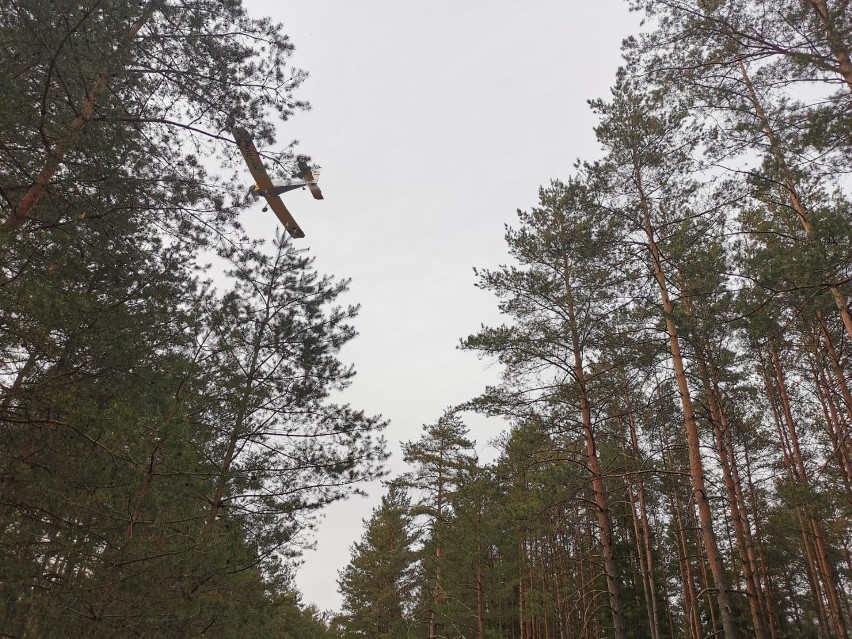 Potężny pożar lasu w powiecie bytowskim. Samolot dromader...