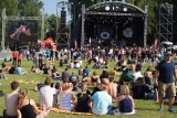 Festiwal Ryśka 2013: TSA i Dżem porwały widzów do zabawy [ZDJĘCIA]