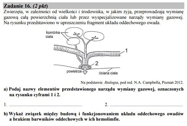 Stara matura 2016: Biologia rozszerzona [ODPOWIEDZI, ARKUSZ CKE]