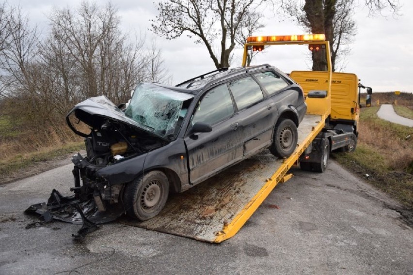 Nowy Dwór Gdański. Tragiczny wypadek na drodze do Kmiecina. Nie żyje 23-letni mężczyzna - uderzył autem w drzewo [zdjęcia, wideo]