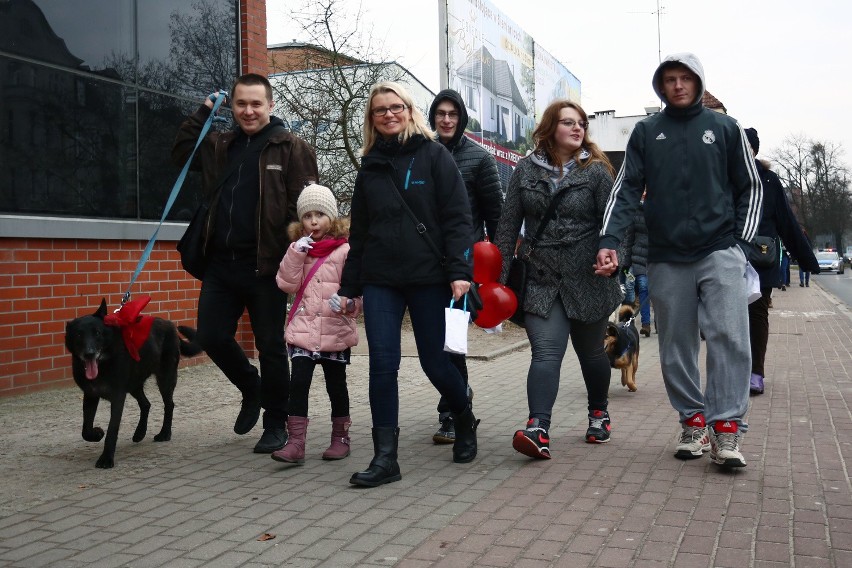 Walentynkowy spacer z psami cieszył się dużą popularnością.