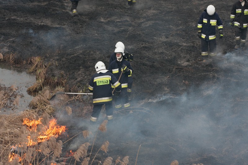 36 ludzi przez ponad dwie godziny walczyło z pożarem traw....