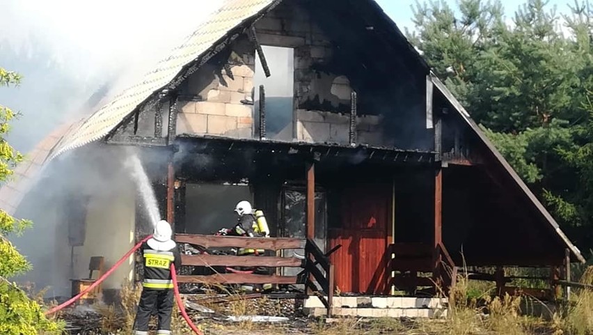 Pożar domków letniskowych i lasu na Dolnym Śląsku (ZDJĘCIA)