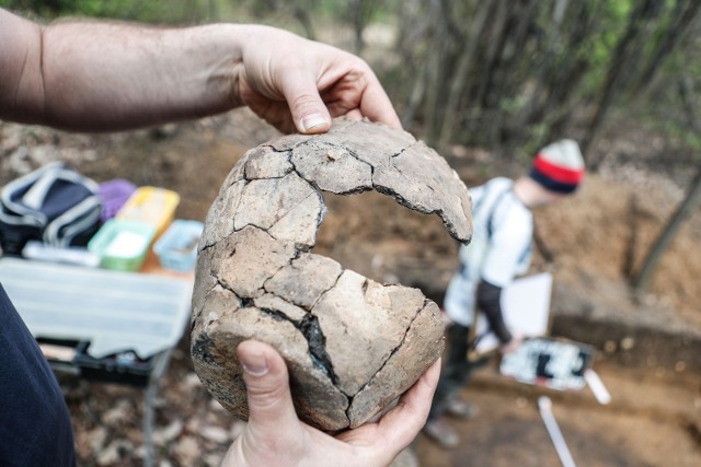 Archeolodzy będą się starali o kolejne dofinansowania z urzędu konserwatorskiego na prace w tym rejonie. Na pewno zachowanych naczyń sprzed 6 tysięcy lat jest tu dużo więcej 