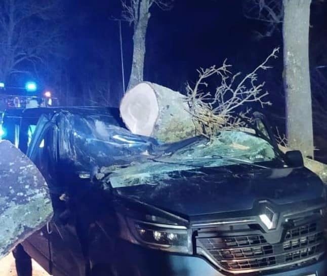 Tłuczewo (pow. wejherowski): Drzewo przygniotło samochód. Jedna osoba zginęła, a jedna trafiła do szpitala 30.01.2022