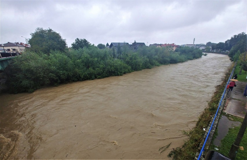 Nowy Sącz. Prezydent Ludomir Handzel ogłosił w mieście pogotowie przeciwpowodziowe. Jaki jest stan sądeckich rzek? [ZDJĘCIA]