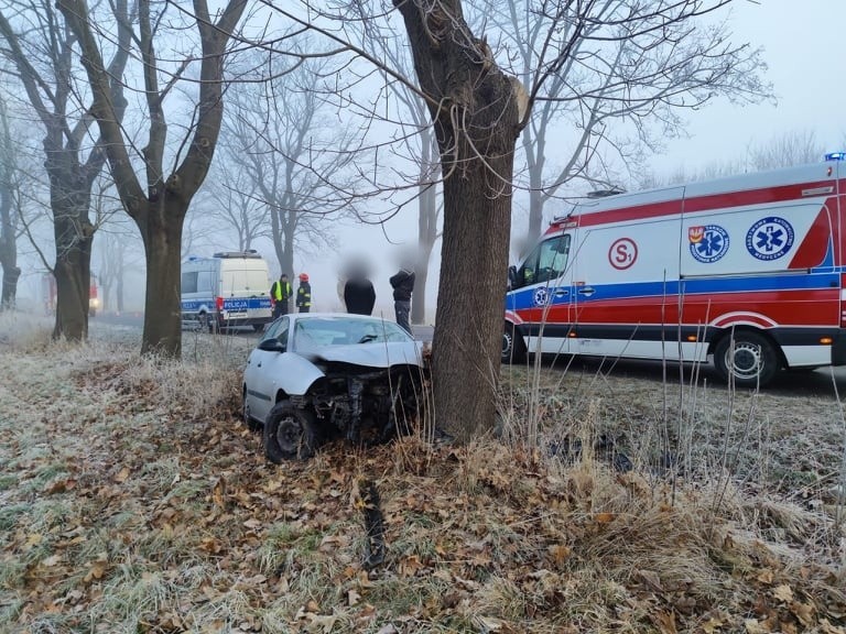 Wypadek Tarnów. Niebezpieczny poranek na drodze wojewódzkiej nr 973 w Tarnowie. Kierowca seata uderzył w drzewo