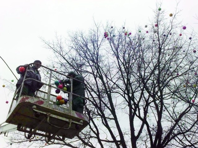 Świątecznie ubrane są już drzewa przy placu Jana Pawła II, katedrze oraz na rogu Armii Krajowej i Wojska Polskiego