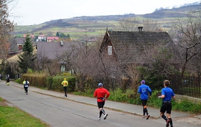 VI Maraton Beskidy 2013