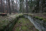 Dawny nazistowski obóz pracy w lesie na Dolnym Śląsku. Tu zwożono same kobiety